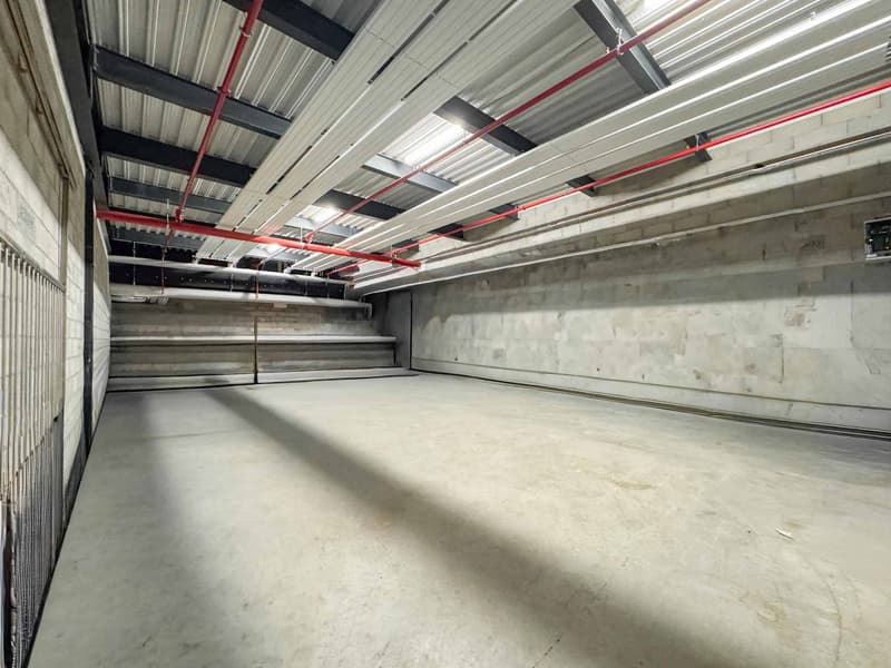 Magnifique surface artisanale de 505m2 de plain-pied (4)