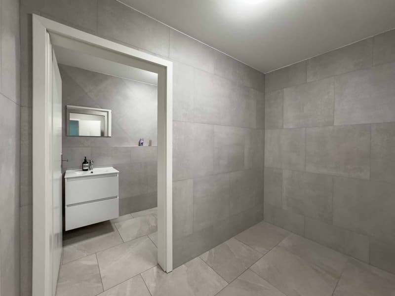 Magnifique surface artisanale de 505m2 de plain-pied (7)