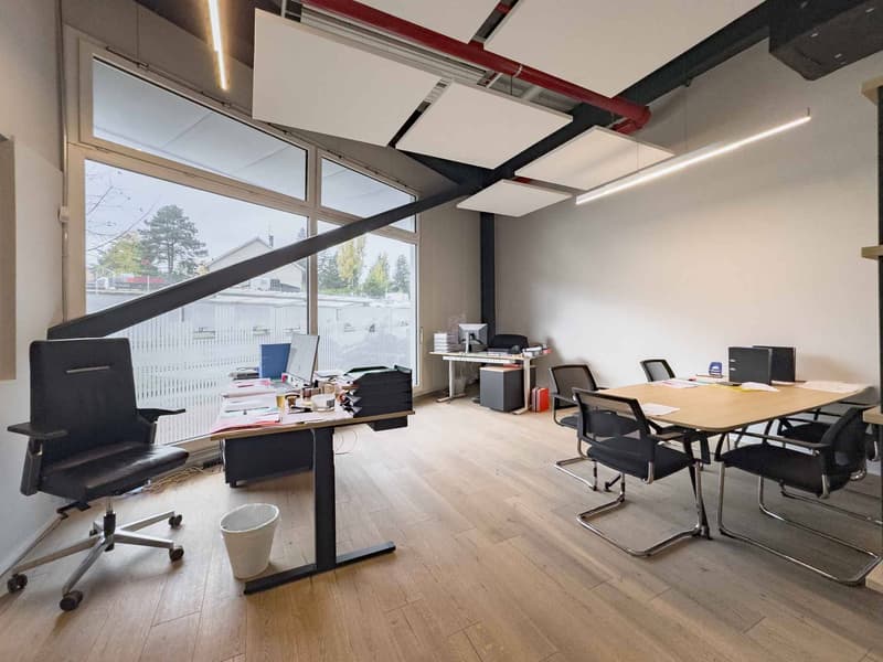 Magnifique surface artisanale de 505m2 de plain-pied (5)