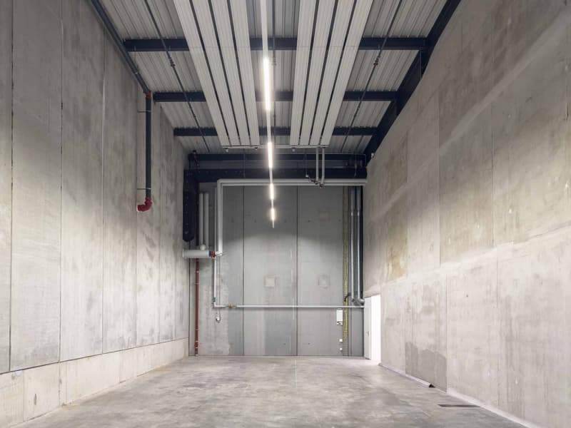 Superbes surfaces Industrielles modernes à Vernier (6)