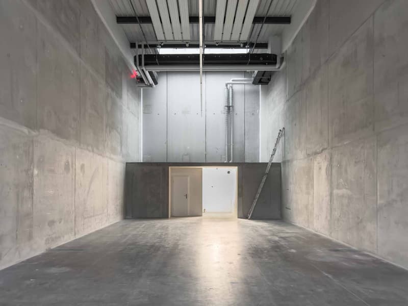Superbes surfaces Industrielles modernes à Vernier (7)