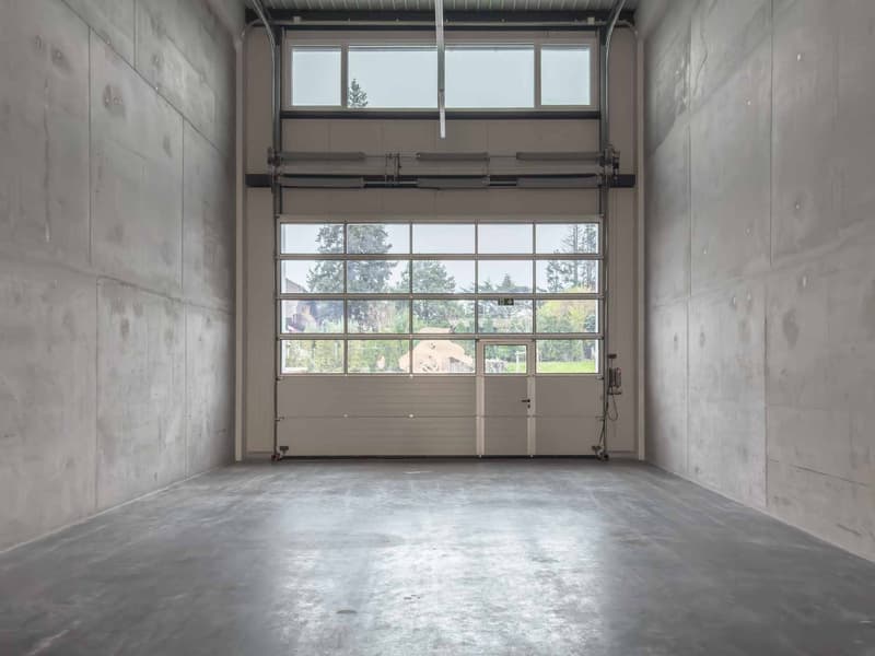 À Vendre : 3 Surfaces Industrielles modernes à Vernier (3)