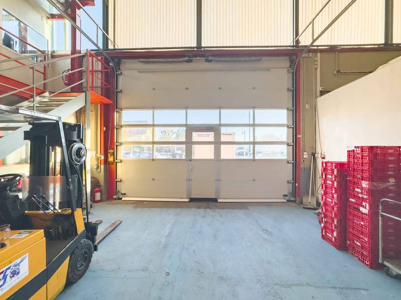Atelier / logistique avec grande hauteur et mezzanine  Meyrin (3)
