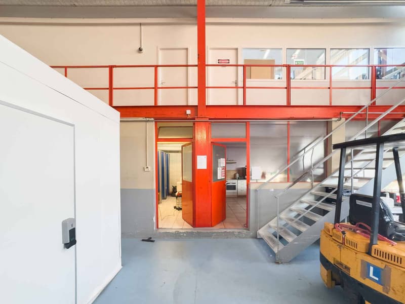 Atelier / logistique avec grande hauteur et mezzanine  Meyrin (4)