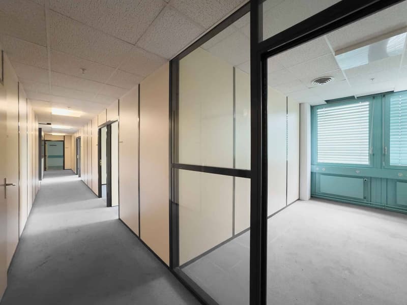 Surface datelier ou bureau de 290 m² à Carouge (1)