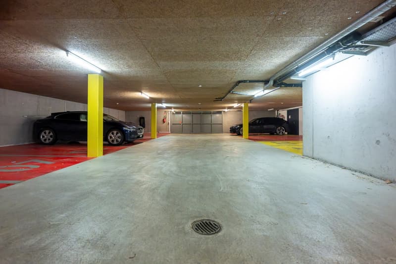 À vendre : Immeuble de bureaux Investisseur ou utilisateur Vésenaz (3)