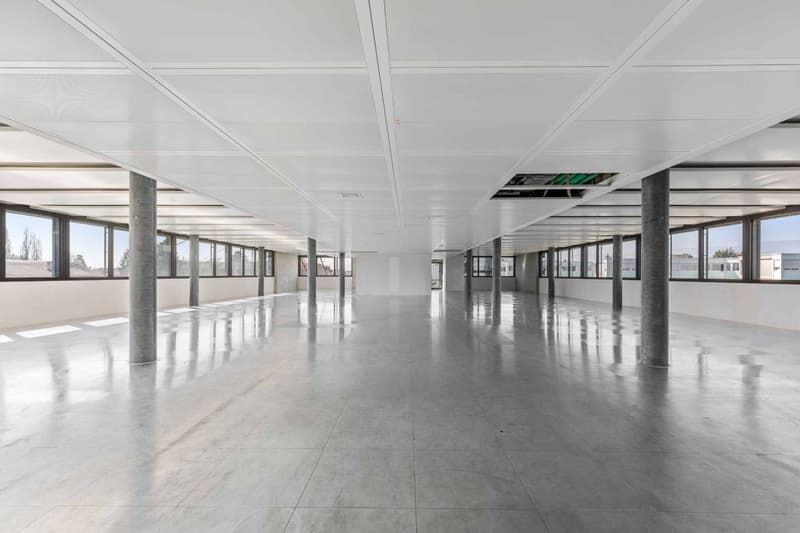 ARCenter 492 m² de bureaux semi-aménagés à Vernier (2)