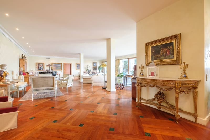 Magnifique appartement avec terrasse surplombant le lac (5)