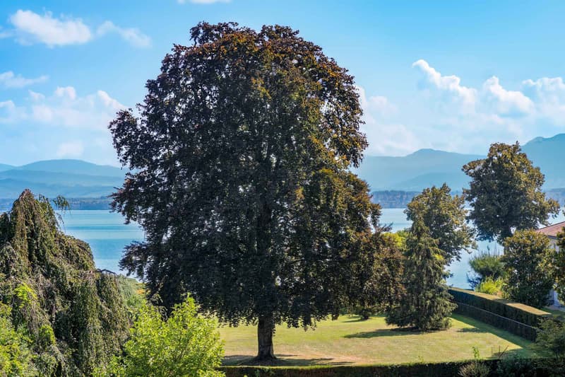 Propriété d'exception à deux pas du lac Léman (12)