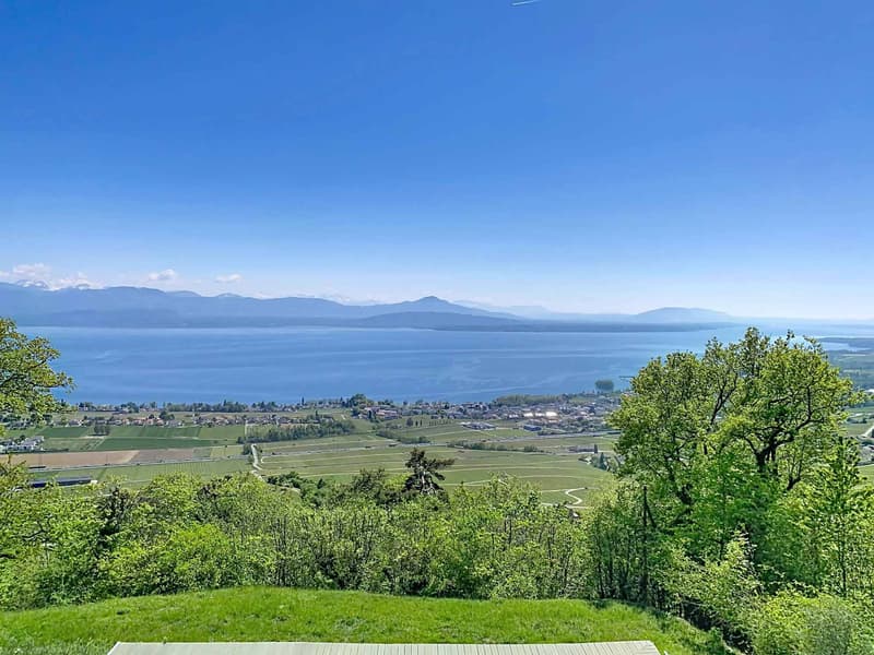 Superbe propriété rénovée avec piscine et vue imprenable (3)