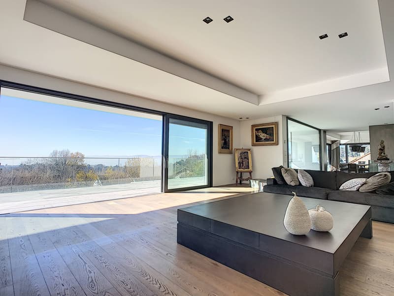 Demeure exceptionnelle alliant luxe et modernité (5)