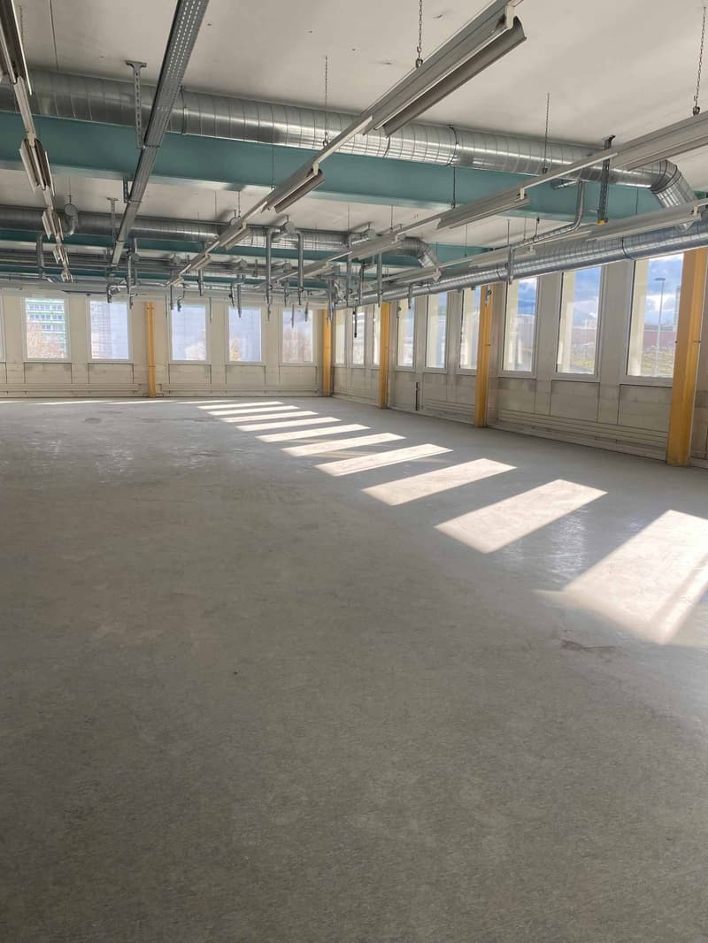 Locaux commerciaux en zone FTI d'env 1100 m2 à Plan-les-Ouates (4)