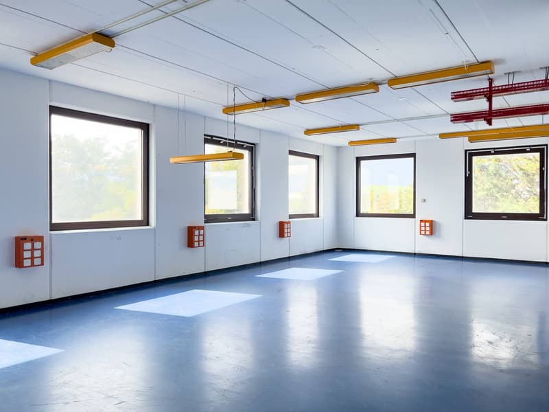 Laboratoire, production, atelier de 420 m2 à louer à Satigny (7)