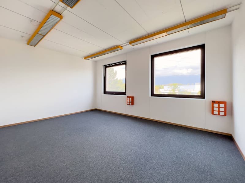 Laboratoire, production, atelier de 420 m2 à louer à Satigny (4)