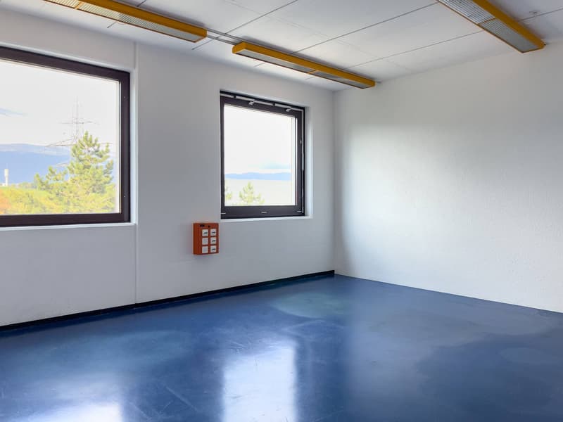 Laboratoire, production, atelier de 420 m2 à louer à Satigny (3)