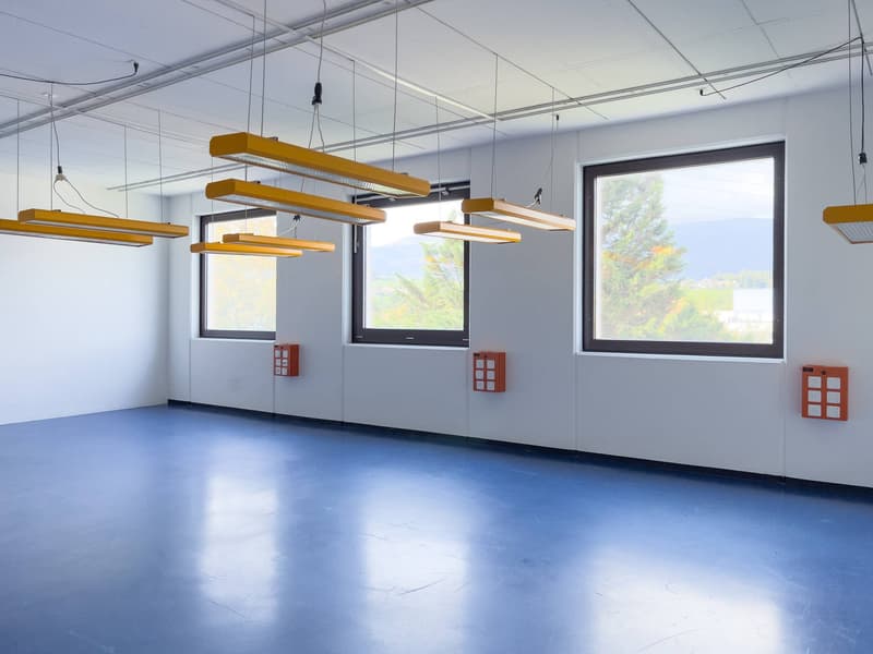 Laboratoire, production, atelier de 420 m2 à louer à Satigny (5)