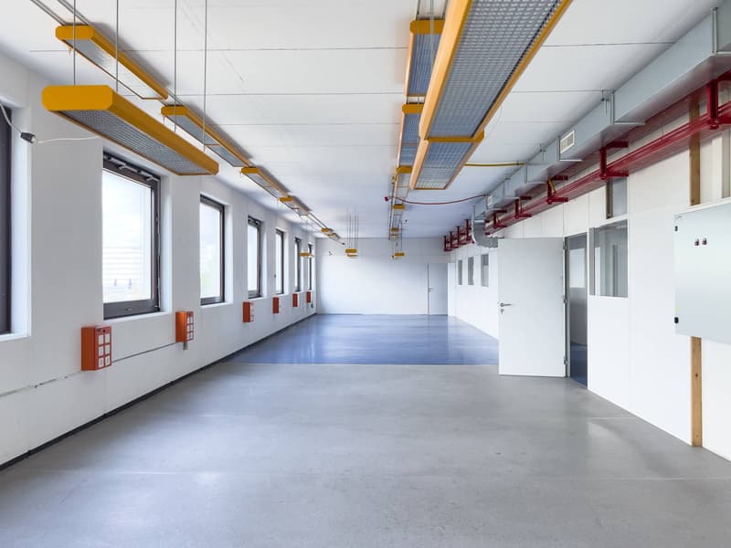 Laboratoire, production, atelier de 420 m2 à louer à Satigny (9)