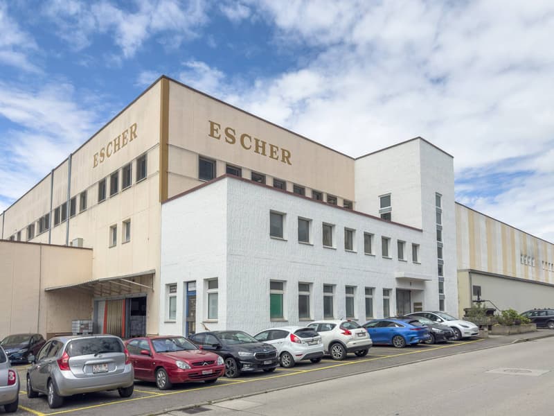 Surface de bureaux/ateliers de 337m2 à Satigny (11)