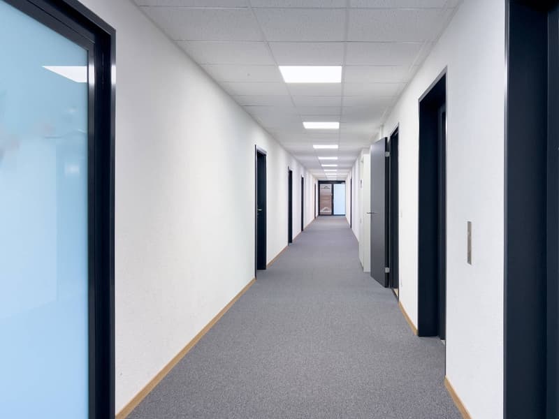 Bureaux, locaux administratifs de 400m2 à louer à Satigny (5)