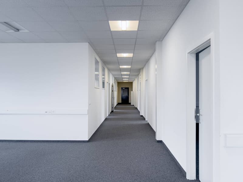 Bureaux, locaux administratifs de 400m2 à louer à Satigny (4)