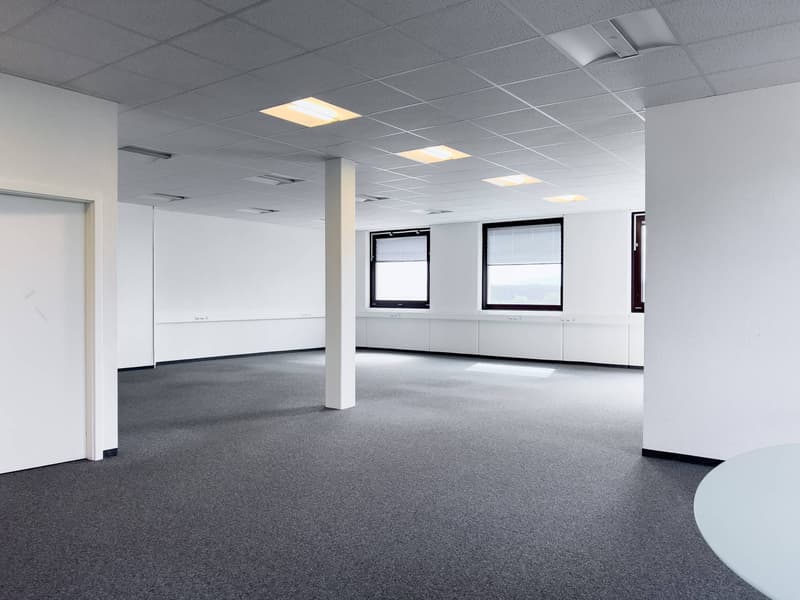 Bureaux, locaux administratifs de 373 m2 à louer à Satigny (4)