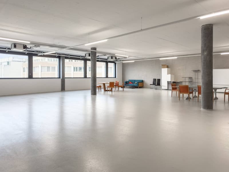 Superbes surfaces d'ateliers dès 150m2 à louer à Plan-les-Ouates (2)