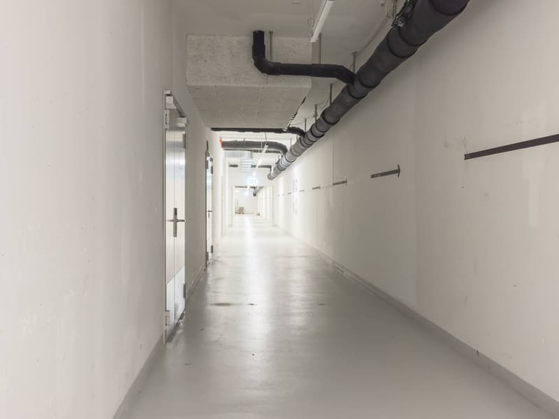 Superbes surfaces d'ateliers dès 150m2 à louer à Plan-les-Ouates (5)