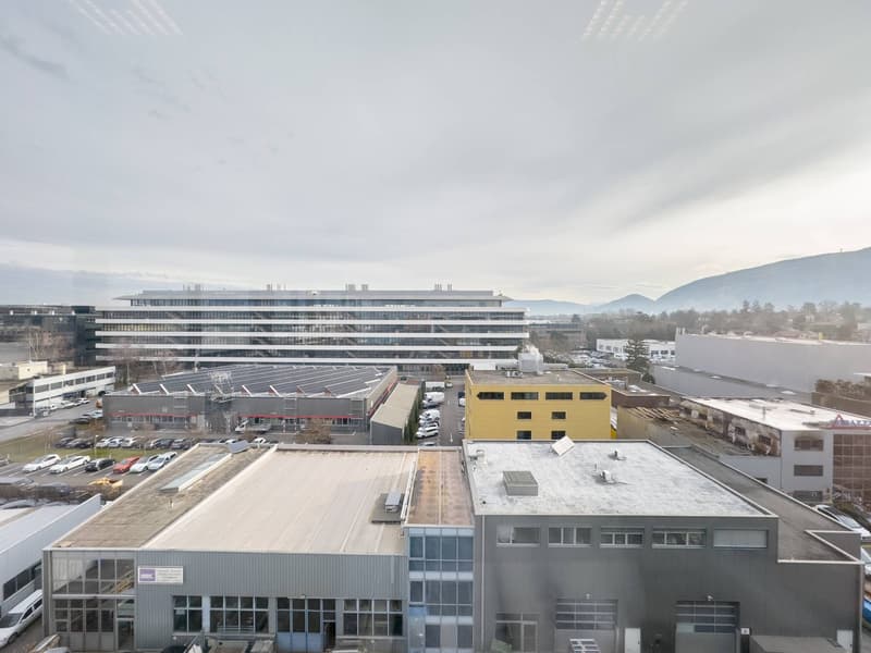 Magnifiques surfaces commerciales/bureaux à louer à Plan-les-Ouates (8)
