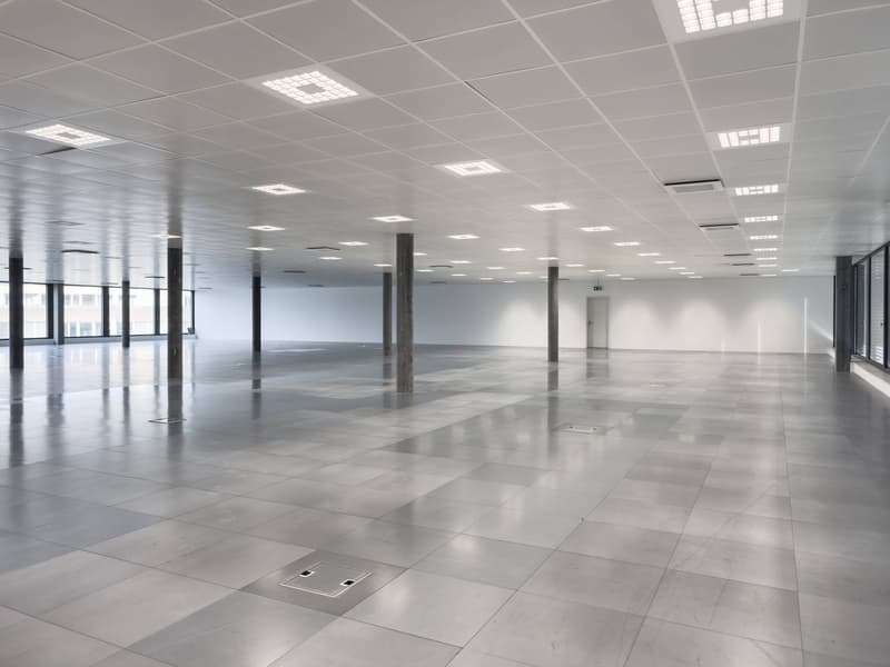 Magnifiques surfaces commerciales/bureaux à louer à Plan-les-Ouates (6)