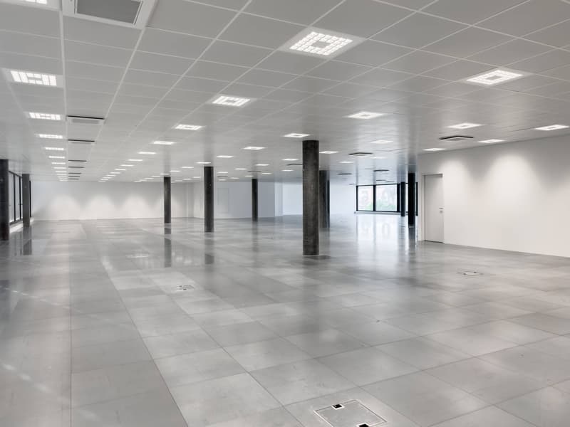 Magnifiques surfaces commerciales/bureaux à louer à Plan-les-Ouates (7)