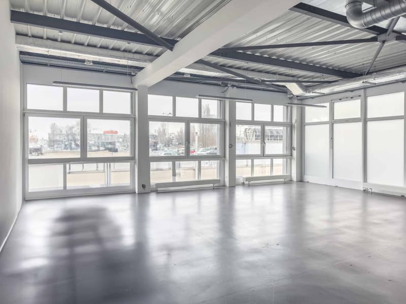 Bureau lumineux de 174m² à Carouge (4)