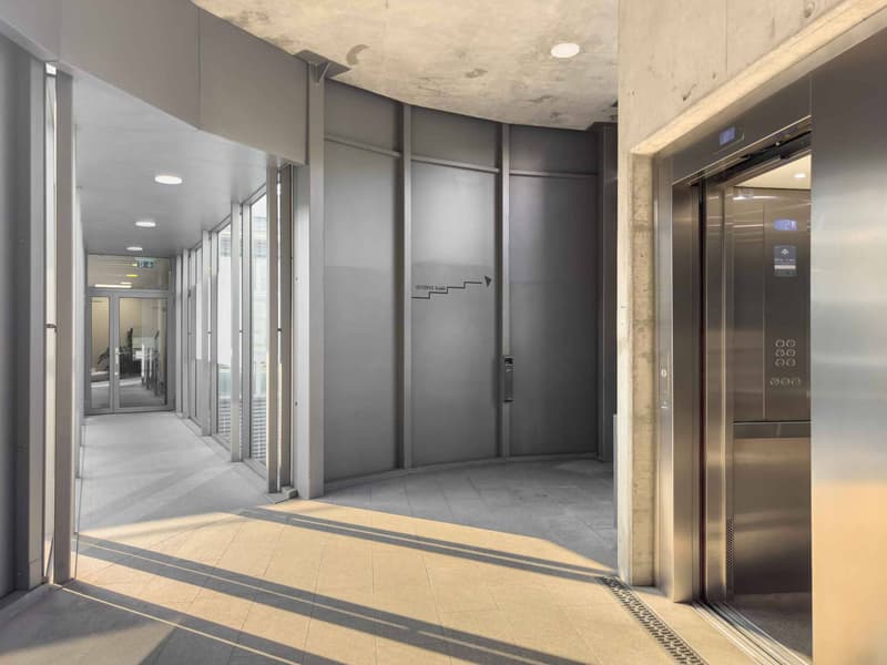 Bureau lumineux de 174m² à Carouge (7)