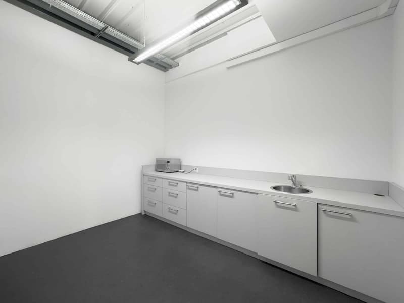 Bureau lumineux de 174m² à Carouge (5)