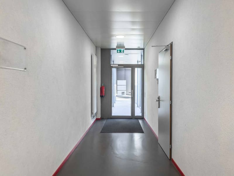 Bureau lumineux de 174m² à Carouge (9)