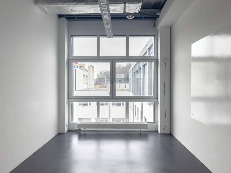 Bureau lumineux de 174m² à Carouge (2)