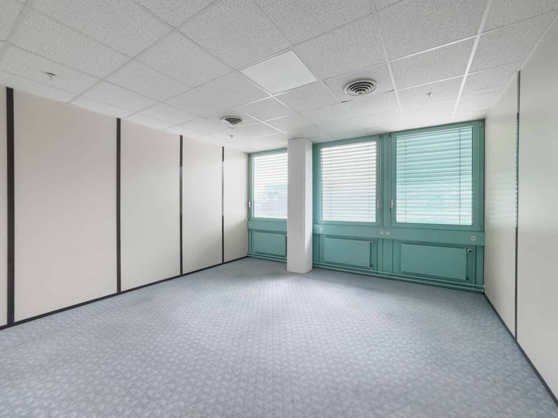 Surface d'atelier ou bureau de 290 m² à Carouge (2)