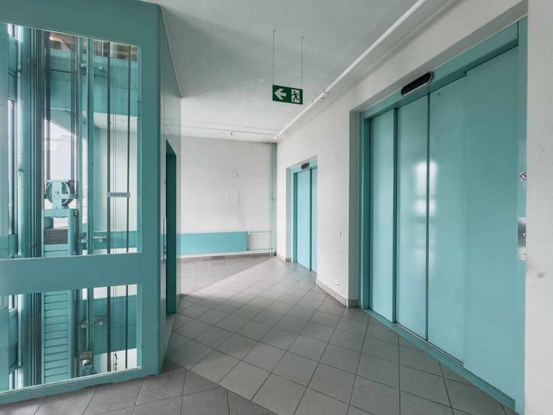 Surface d'atelier ou bureau de 290 m² à Carouge (6)