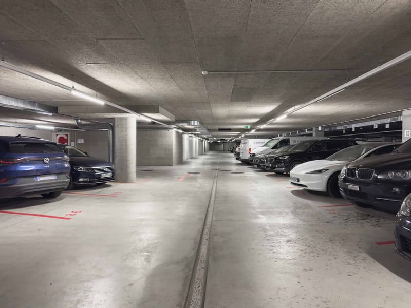 Magnifique dépôt Logistique de 1'000m² avec Quais de Déchargement (10)