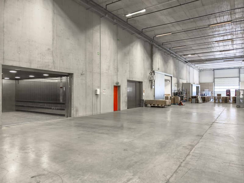 Magnifique dépôt Logistique de 1'000m² avec Quais de Déchargement (3)