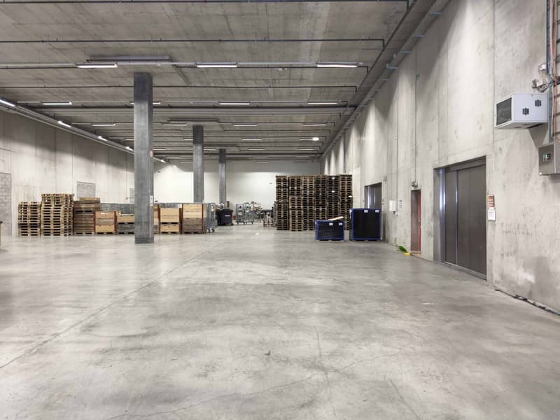 Magnifique dépôt Logistique de 2'157m² avec Quais de Déchargement (3)