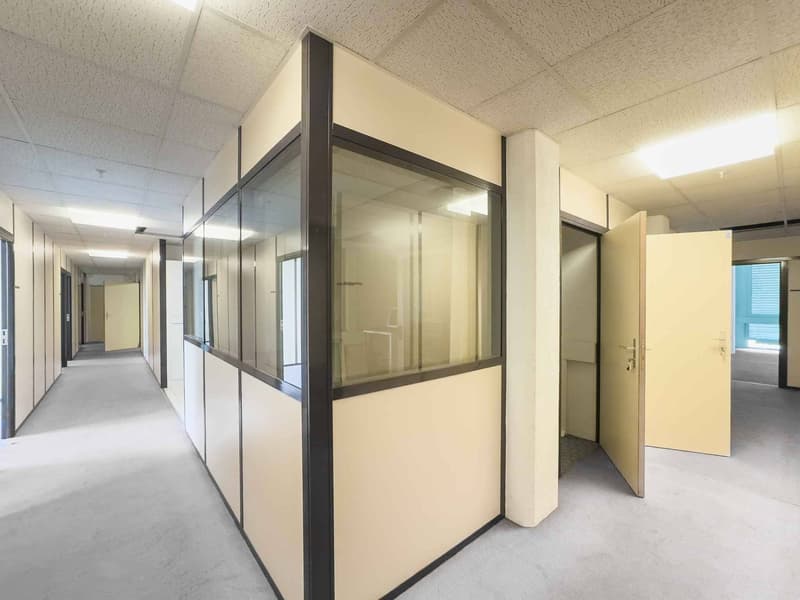 Surface d'atelier ou bureau de 290 m² à Carouge (3)