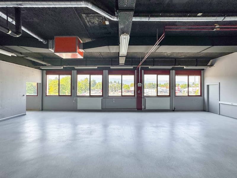 Atelier lumineux de 365 m² à Meyrin (2)