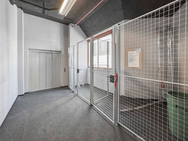 Atelier lumineux de 365 m² à Meyrin (7)