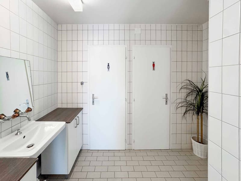Atelier lumineux de 365 m² à Meyrin (8)