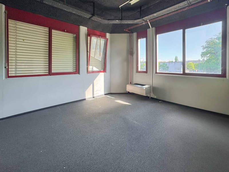 Atelier lumineux de 365 m² à Meyrin (5)
