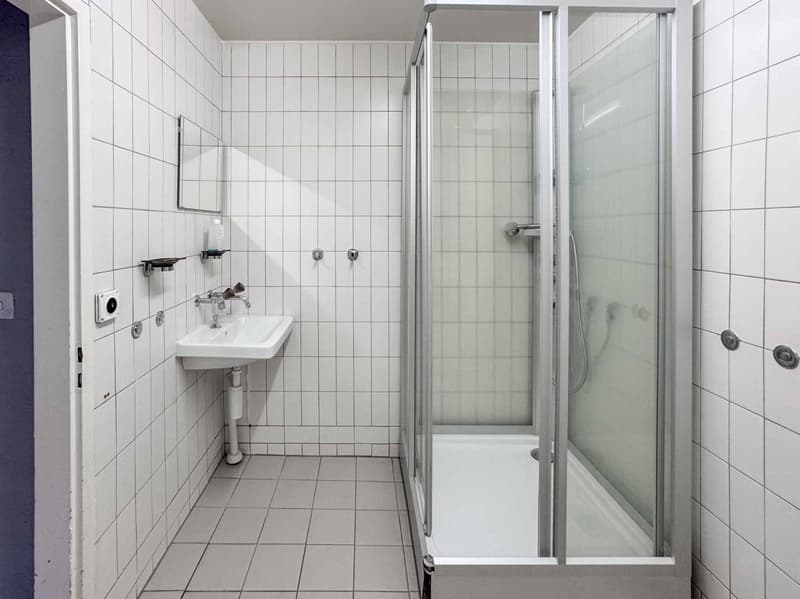 Atelier lumineux de 365 m² à Meyrin (6)