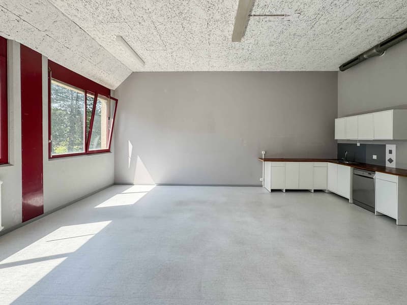 Atelier lumineux de 365 m² à Meyrin (4)
