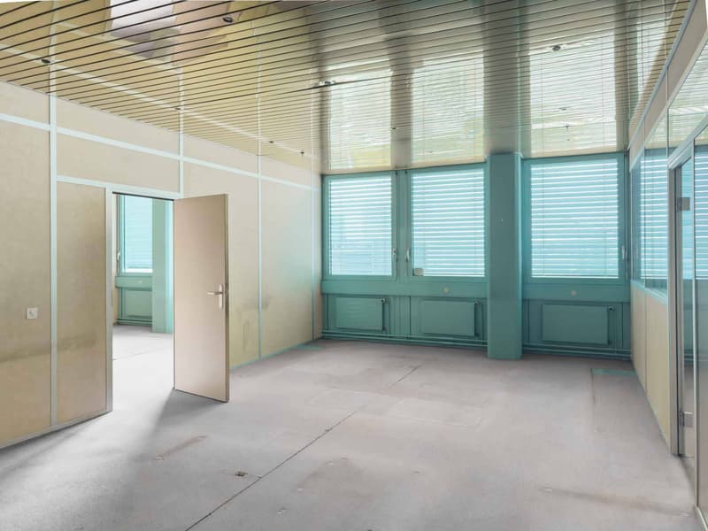 Surface d'atelier ou bureau de 231 m² à Carouge (3)