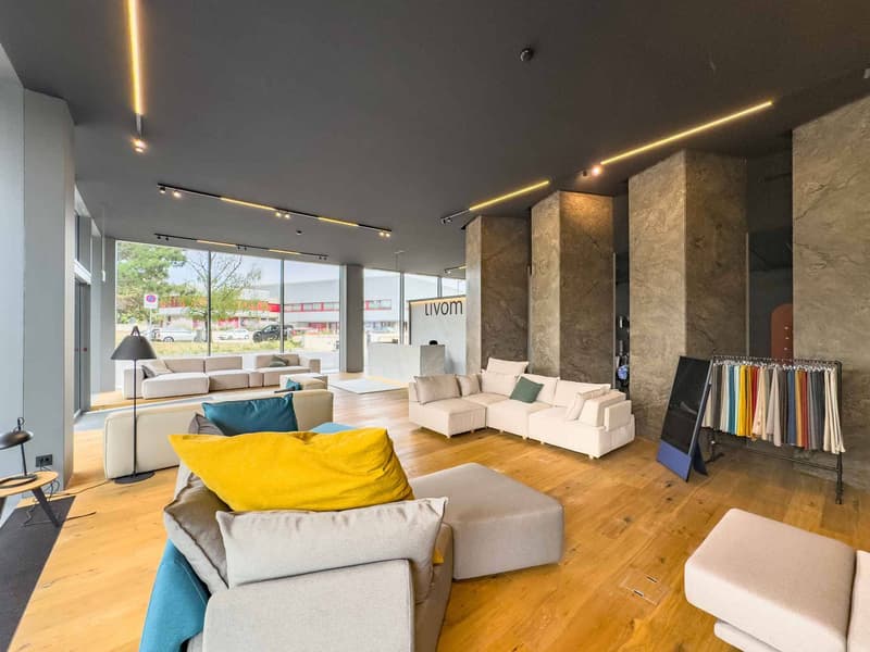 Magnifique arcade de 170 m²  Atrium Park, Meyrin (3)