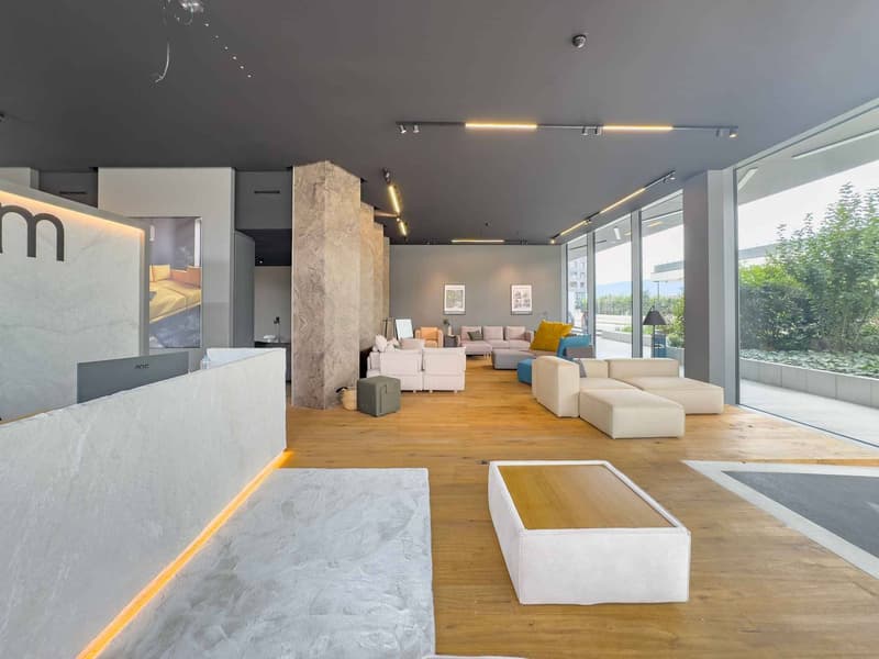 Magnifique arcade de 170 m²  Atrium Park, Meyrin (2)